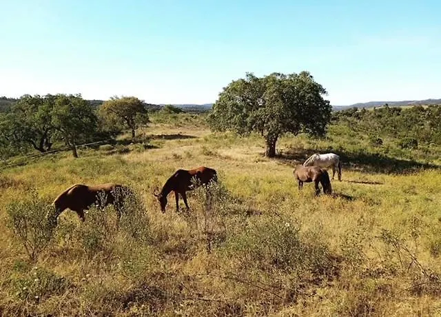 Glamping Safari Da Paz Hotel Aljezur